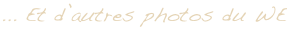shapeimage_4_link_0